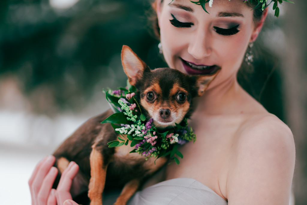 17. weddings-with-dogs