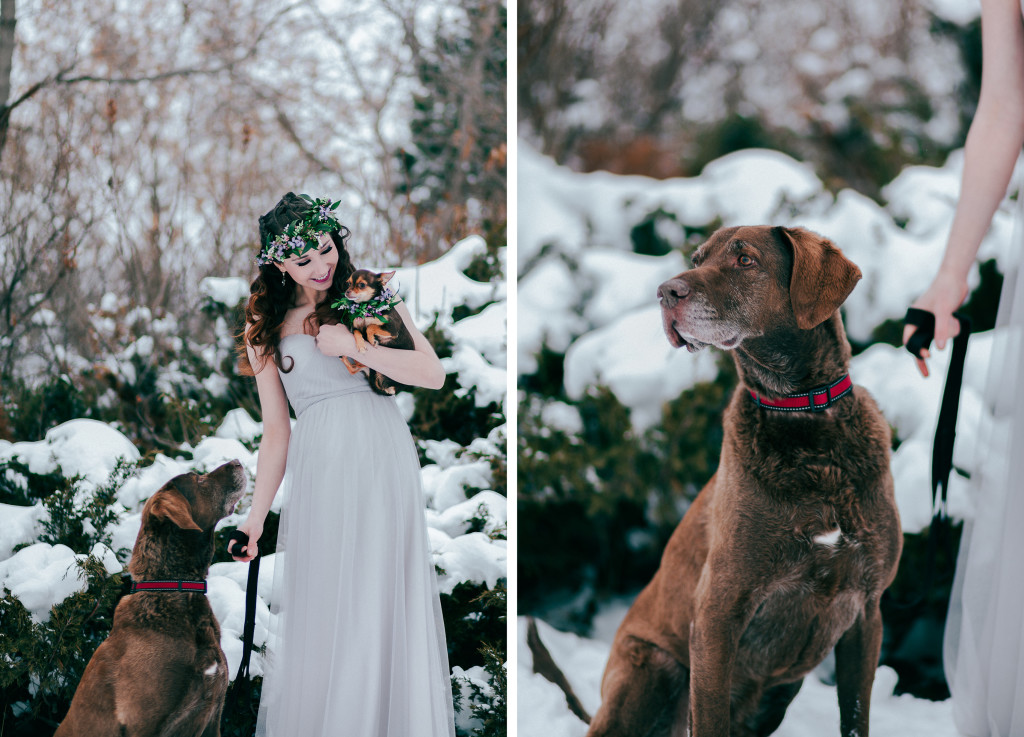 34. dog-accessories-for-weddings