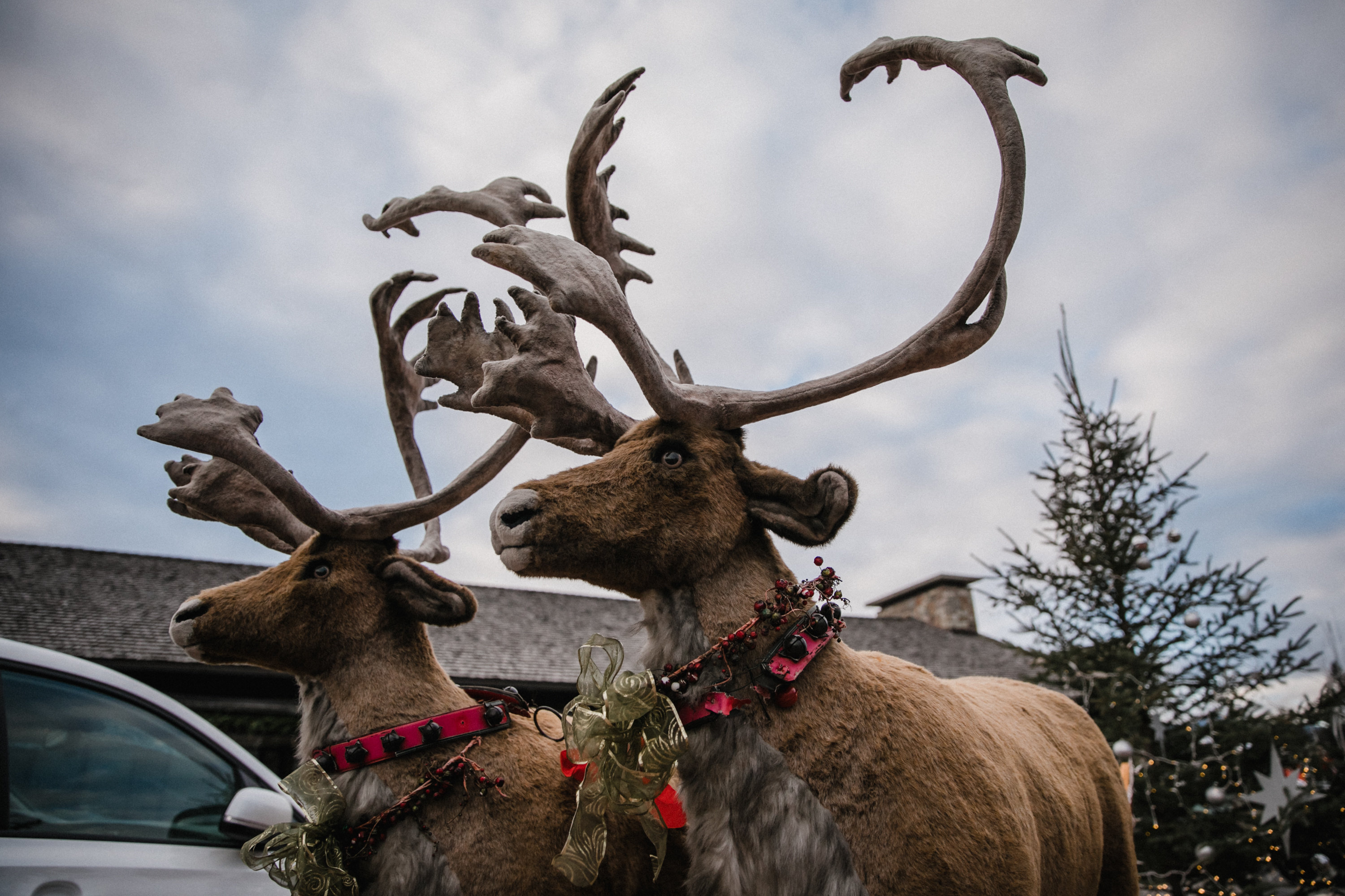 christmas at jpl