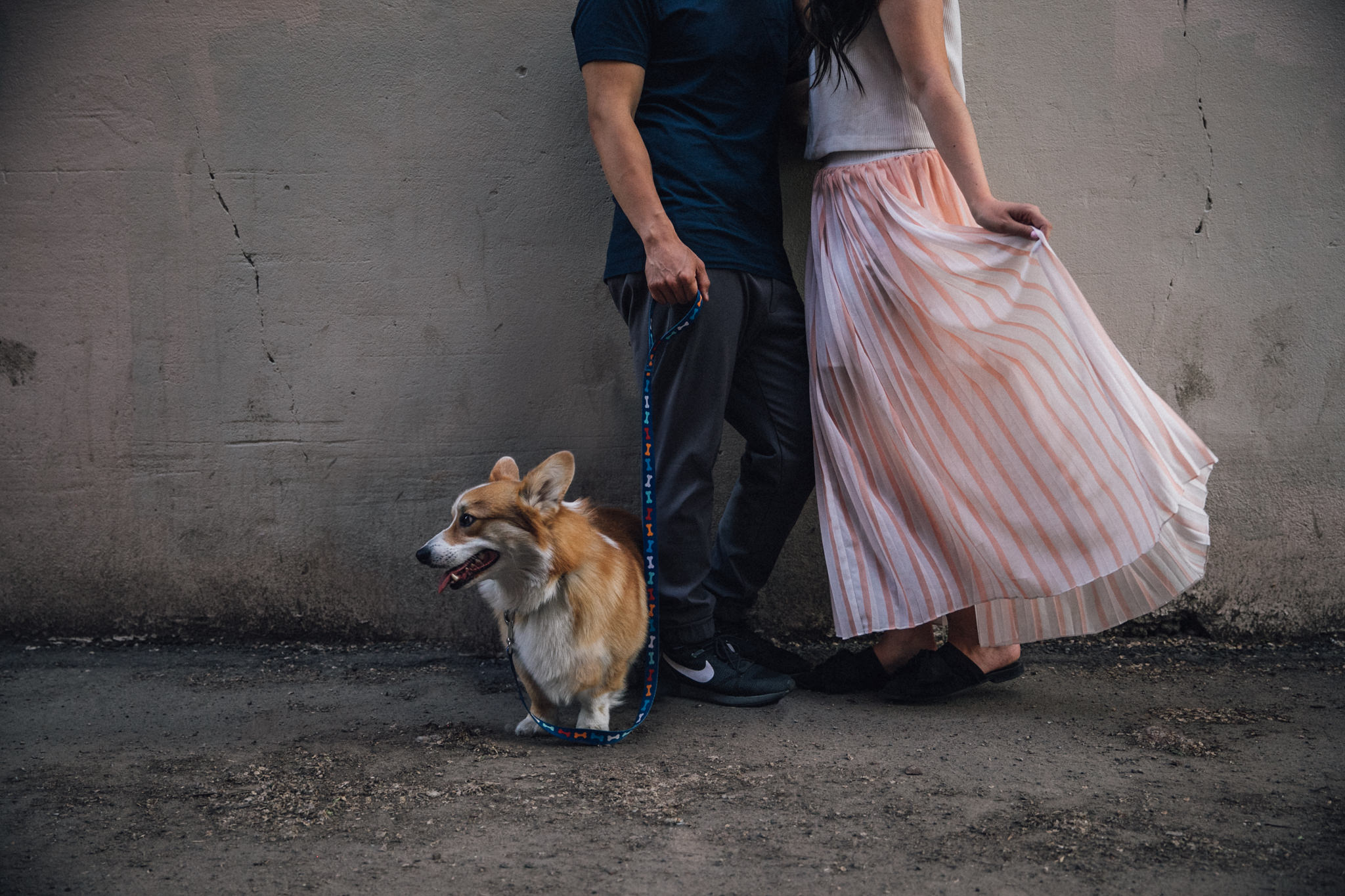 engagement session with dog