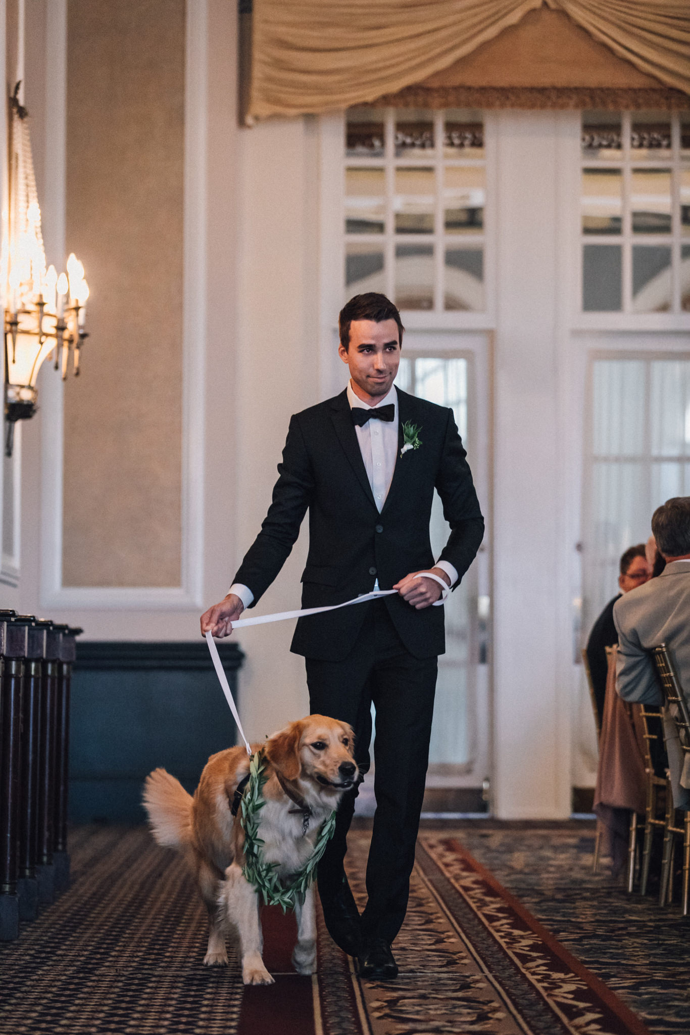 dogs in weddings