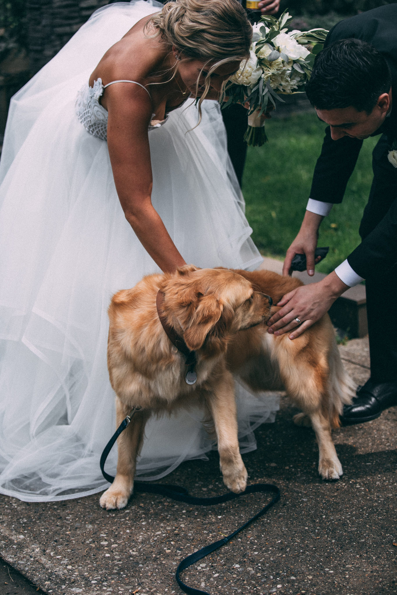 dogs in weddings