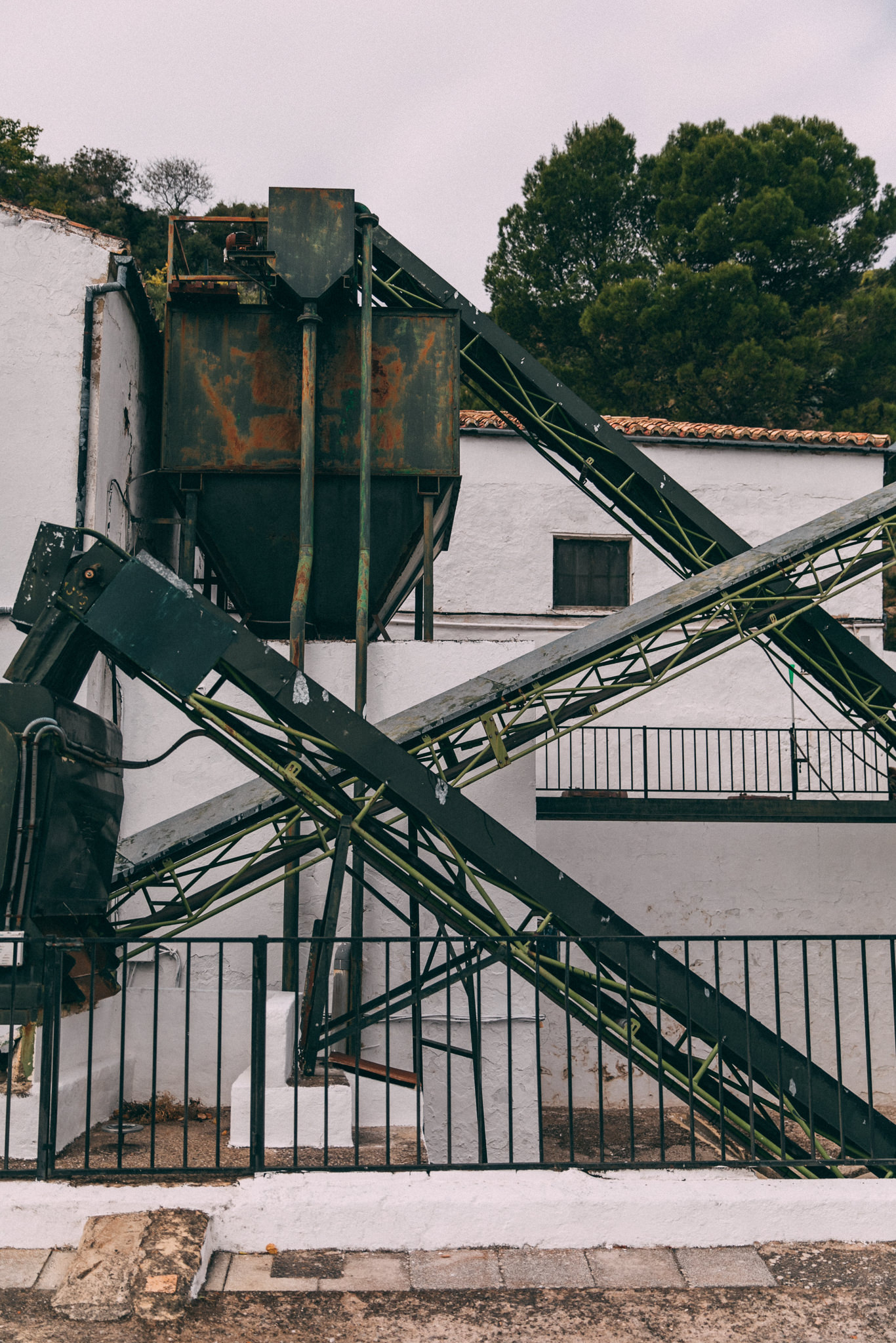 olive oil factory