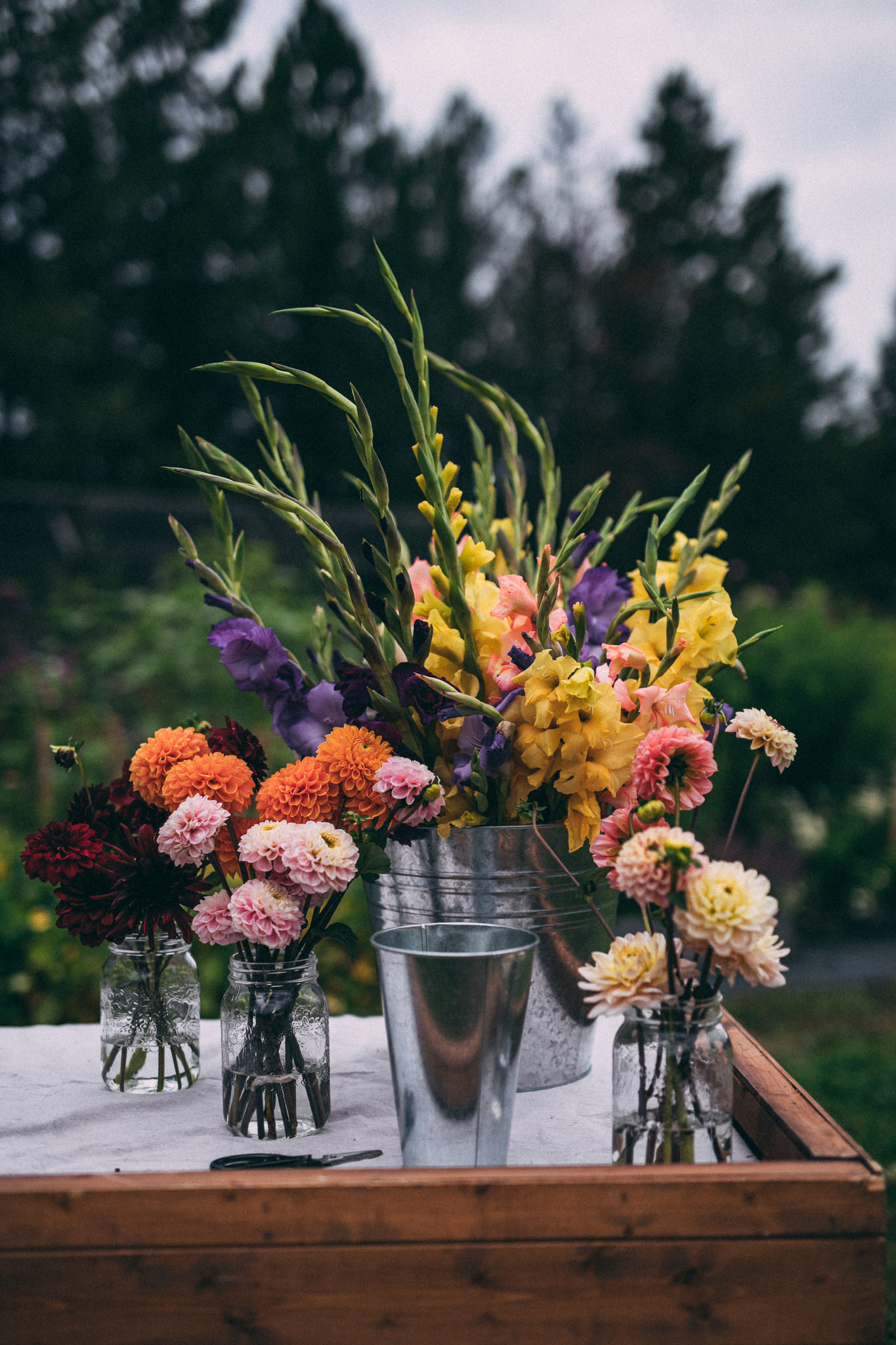 pick your own flowers engagement session