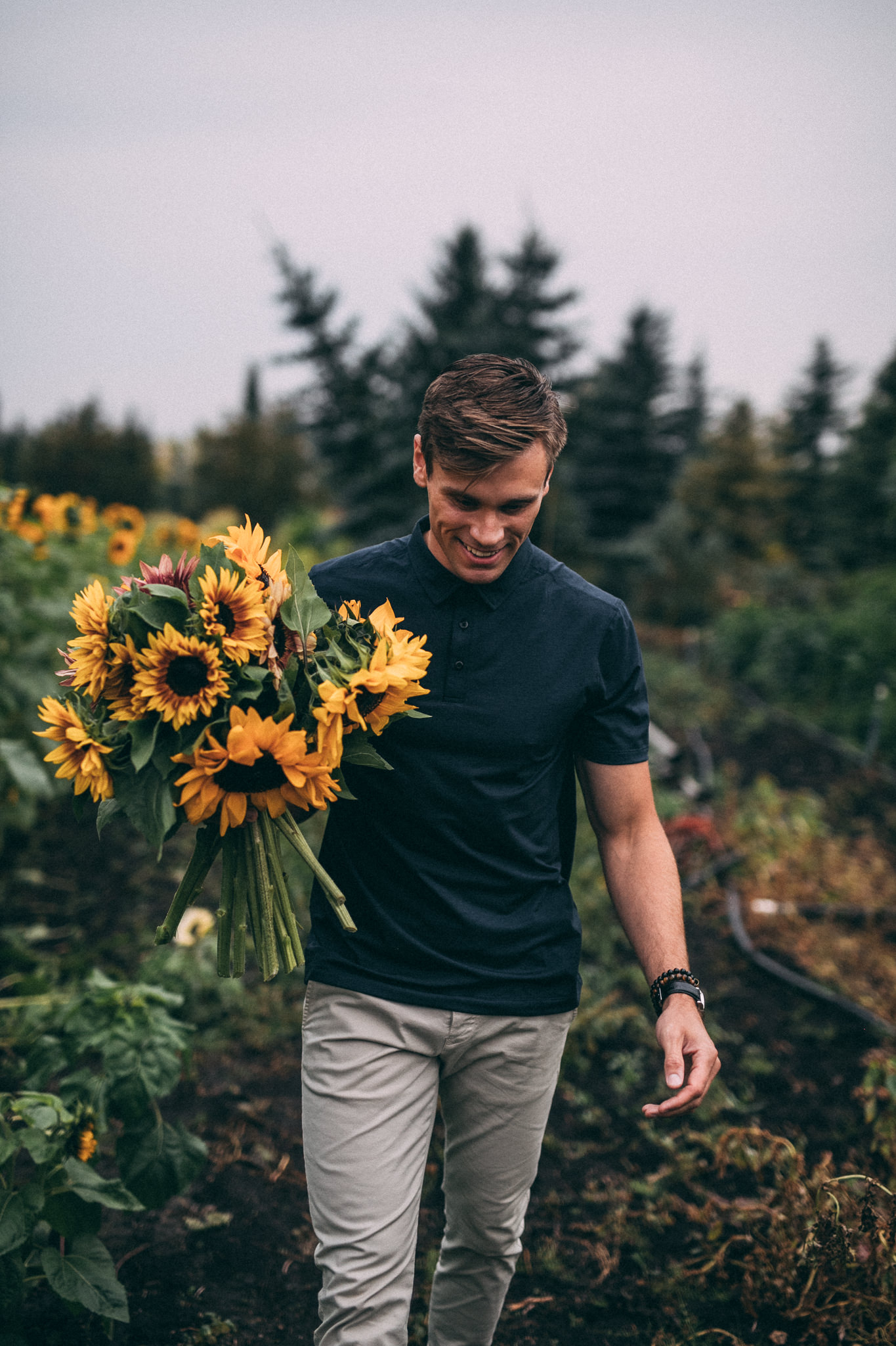 picking sunflowers