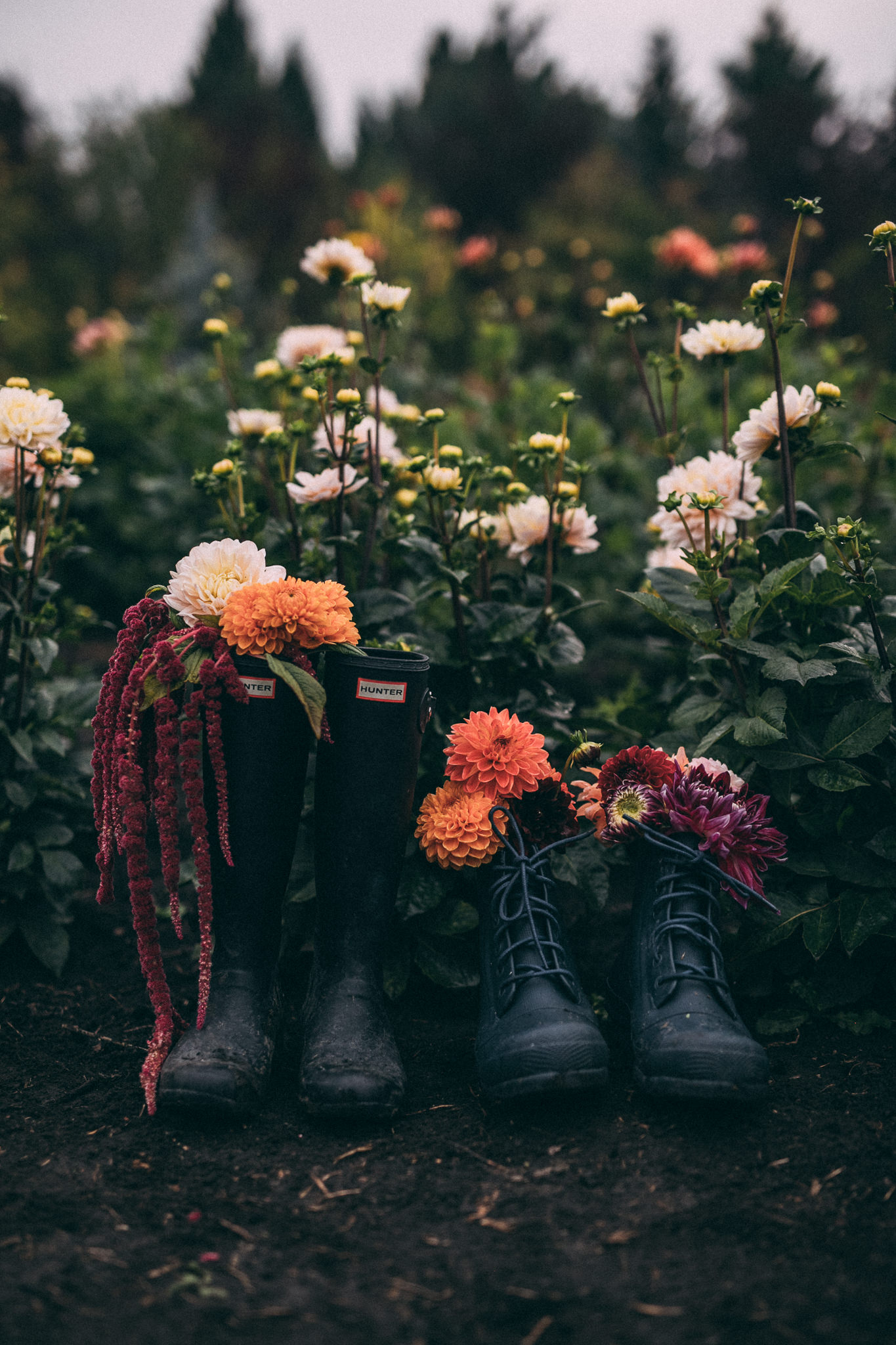 rainy flower field engagement session